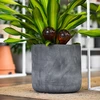 Bolas de riego TRANSPARENTES ÁMBAR 2uds. - 13 