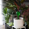 Bolas de riego TRANSPARENTES VERDES 2 uds. - 10 