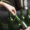 Botella de vino 750ml + corcho y cápsula - 12 uds. - 8 