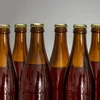 Botella para cerveza 500ml - paquete de 8 unidades - 5 