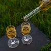 Botella para licor 100ml 6uds.+ 6 corchos KK14/10 - 9 