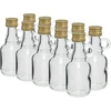 Butelka Galonik 40ml z zak., 10szt. ['Galonik', ' butelka galonik', ' butelka na alkohol', ' butelka na nalewke', ' piersiówka butelka na nalewkę']