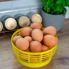 Canasta de plástico para Dam 5L, amarilla - 8 