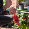Cepillo para botellas 0,5 L - 4 