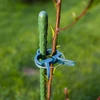 Clips para sujetar plantas 20 piezas (8x grandes/12x pequeñas) - 9 
