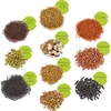 Conjunto de semillas para brotes - 3 