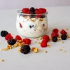 Cultivos bacterianos para yogur - 3 