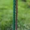 Estaca de acero recubierta de PE 0,6m x 8mm - 3 