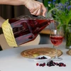 Garrafa Dama 3L con revestimiento, con tapa - 5 