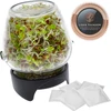 Germinador de frascos Twist-off + 5 semillas - 4 