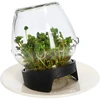 Germinador de tarro Twist-off + semillas - 8 