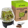 Germinador de tarro Twist-off + semillas - 5 