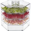 Germinador de varios niveles Niezłe Ziółko + semillas - 2 