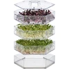 Germinador de varios niveles Niezłe Ziółko + semillas - 4 