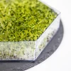 Germinador multinivel Niezłe Ziółko + 10nasio - 14 