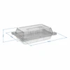 Germinador Zielona Czuprynka + semillas - 5 