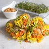 Germinador Zielona Czuprynka + semillas - 12 