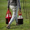 Globo para vino ligero, irrompible, con correas, 10L - 10 