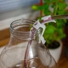 Kit para trasiego de vino con asa y abrazadera - 11 
