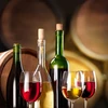 Levadura de vino Universal sin propagación-20ml - 10 