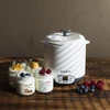 Máquina de yogur y queso con termostato 1,5 L - 18 