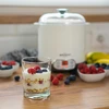 Máquina de yogur y queso con termostato 1,5 L - 14 