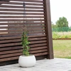 Pérgola de metal - Pirámide, 135cm - 4 