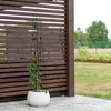 Pérgola decorativa - Pirámide, 150cm - 5 