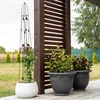 Pérgola decorativa - Pirámide, 150cm - 6 