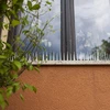 Púas contra aves - 40x9x8,5cm, 3 uds. - 3 