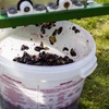 Recipiente de fermentación con tapa 30L - 18 