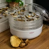 Secador de alimentos, 125 W - 10 