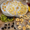Secador de alimentos, 125 W - 11 