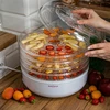 Secador de alimentos, 125 W - 12 
