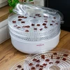 Secador de alimentos, 125 W - 15 