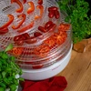 Secador de alimentos, 125 W - 13 