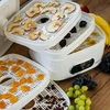 Secadora de alimentos con regulación de temperatura, 240W, blanca - 19 