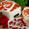 Secadora de alimentos con regulación de temperatura, 240W, blanca - 21 