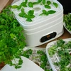 Secadora de alimentos con regulación de temperatura, 240W, blanca - 23 