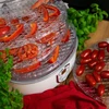 Secadora de alimentos con regulación de temperatura, 240W, trans - 16 