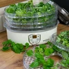 Secadora de alimentos con regulación de temperatura, 240W, trans - 13 
