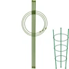 Soporte anular para plantas 3 anillos 0,5m ['soporte para plantas', ' soporte anular para arbustos', ' soporte de jardín', ' soporte para rosas', ' pérgola de jardín', ' abrazadera para plantas', ' soporte para plantas', ' soporte floral', ' soporte para plantas en maceta', ' soporte para hortensias', ' soporte para arándanos', ' soporte para plantas trepadoras', ' soporte verde', ' soporte para plantas verde oscuro', ' soporte para plantas de acero con anillos']