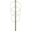 Soporte anular para plantas 3 anillos 0,75  - 1 
