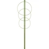 Soporte de anillo para plantas 3 anillos 1,25 - 12 