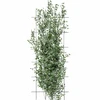 Soporte para plantas – enrejado de jardín 150 x 60cm - 3 