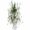 Soporte para plantas - enrejado de jardín estrechado 150 x 75cm - 3 