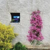 Soporte para plantas - enrejado de jardín estrechado 150 x 75cm - 4 