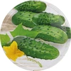 Tapa fi100 pepinos mix - 10uds. - 2 