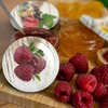 Tapa fi66 frutas - 10uds. - 3 
