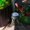 Tapón para globo fi43mm con cierre - 4 
